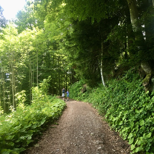 wanderweg wanderweg