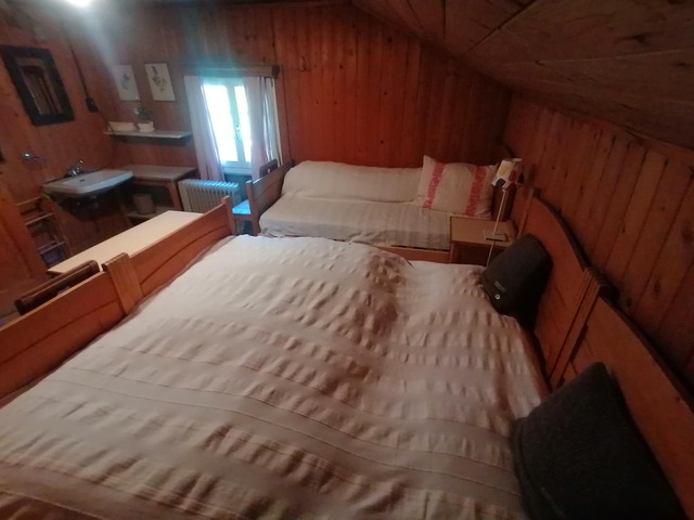 zimmer3_1 zimmer3_1